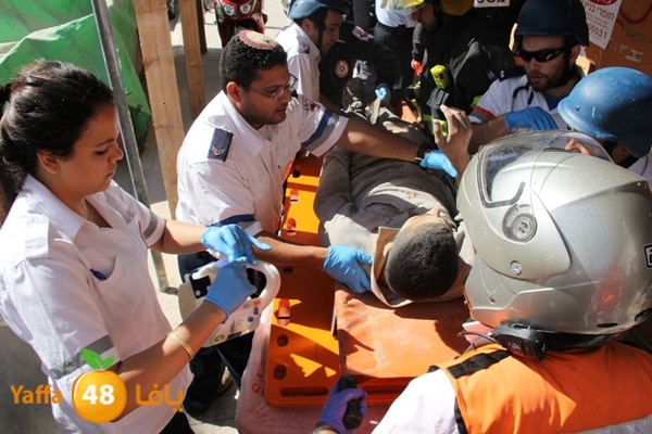 mabna inu910y (12).JPG